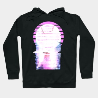 Glitch of the sun Hoodie